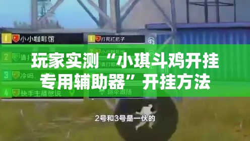 玩家实测“小琪斗鸡开挂专用辅助器”开挂方法