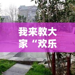 我来教大家“欢乐联盟专用辅助器”真可以装挂