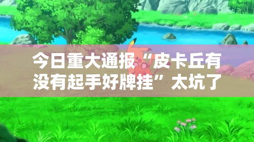 今日重大通报“皮卡丘有没有起手好牌挂”太坑了原来有挂