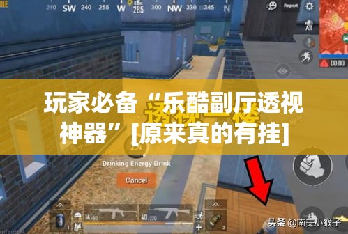 玩家必备“乐酷副厅透视神器	”[原来真的有挂]