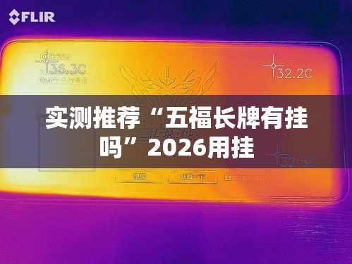 实测推荐“五福长牌有挂吗”2026用挂