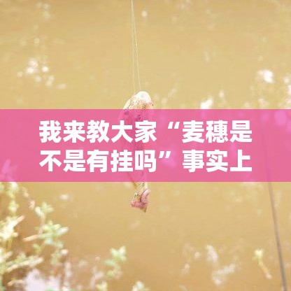 我来教大家“麦穗是不是有挂吗”事实上真的有挂