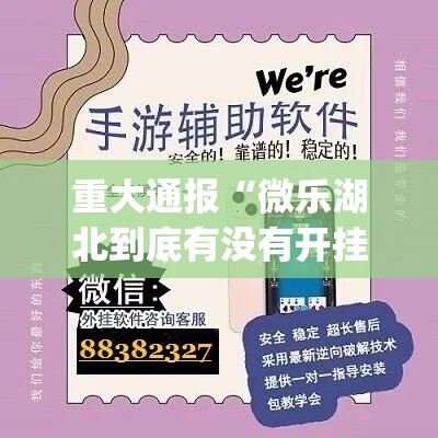 重大通报“微乐湖北到底有没有开挂器	”(确实有挂)