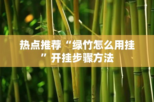 热点推荐“绿竹怎么用挂”开挂步骤方法