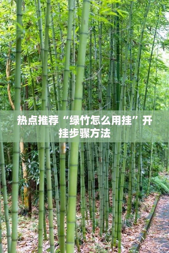 热点推荐“绿竹怎么用挂”开挂步骤方法