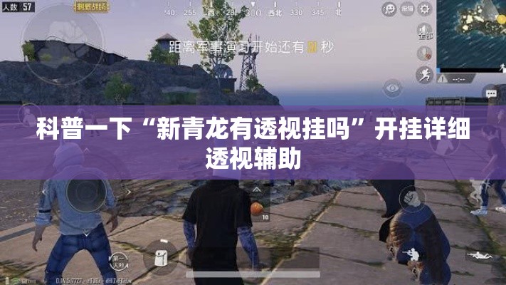 科普一下“新青龙有透视挂吗”开挂详细透视辅助