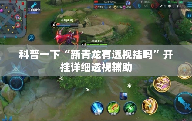 科普一下“新青龙有透视挂吗”开挂详细透视辅助