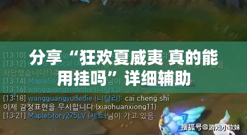 分享“狂欢夏威夷 真的能用挂吗”详细辅助