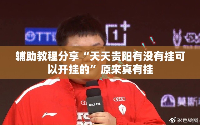 辅助教程分享“天天贵阳有没有挂可以开挂的”原来真有挂