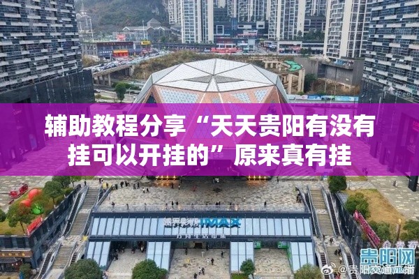 辅助教程分享“天天贵阳有没有挂可以开挂的	”原来真有挂
