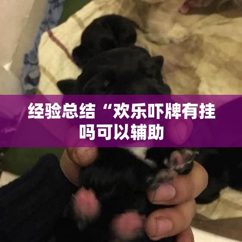 经验总结“欢乐吓牌有挂吗可以辅助 经验总结“欢乐吓牌有挂吗可以辅助