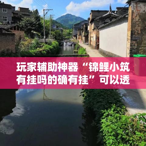 玩家辅助神器“锦鲤小筑有挂吗的确有挂”可以透视