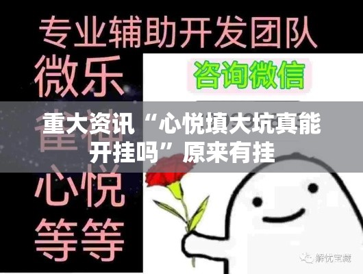 重大资讯“心悦填大坑真能开挂吗”原来有挂