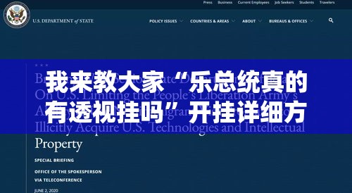 我来教大家“乐总统真的有透视挂吗”开挂详细方法