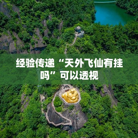 经验传递“天外飞仙有挂吗	”可以透视