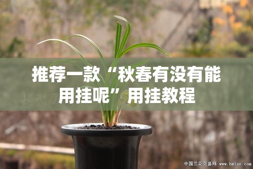 推荐一款“秋春有没有能用挂呢”用挂教程