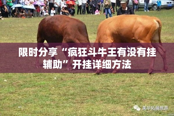 限时分享“疯狂斗牛王有没有挂辅助”开挂详细方法
