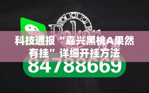 科技通报“嘉兴黑桃A果然有挂	”详细开挂方法
