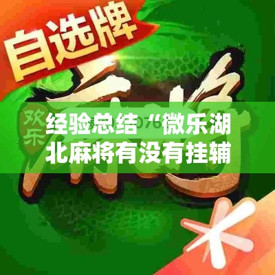 经验总结“微乐湖北麻将有没有挂辅助事实上确实有挂