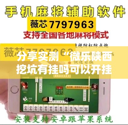 分享实测“微乐陕西挖坑有挂吗可以开挂吗	”确实真的有挂