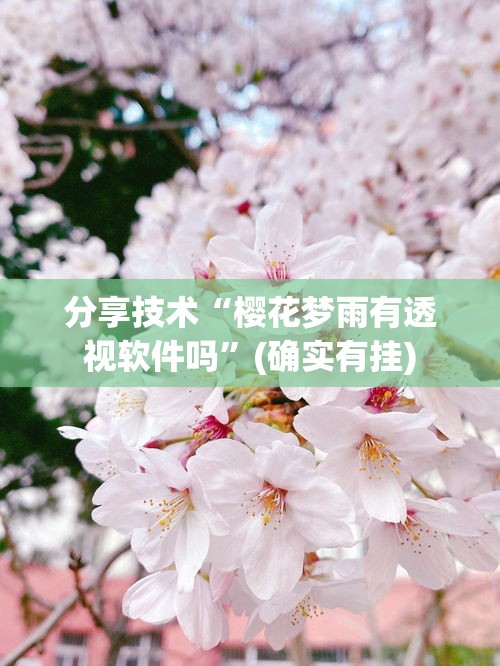 分享技术“樱花梦雨有透视软件吗”(确实有挂)