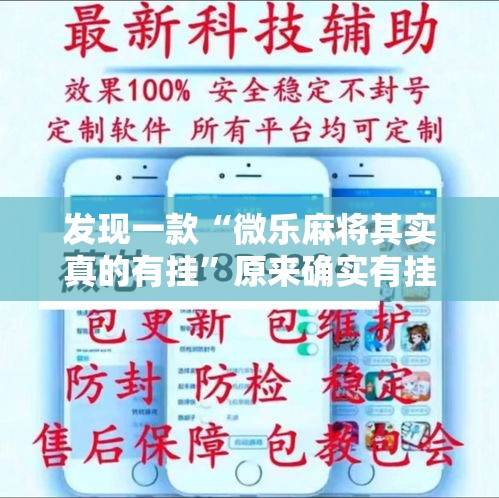 发现一款“微乐麻将其实真的有挂”原来确实有挂