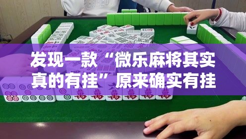发现一款“微乐麻将其实真的有挂”原来确实有挂