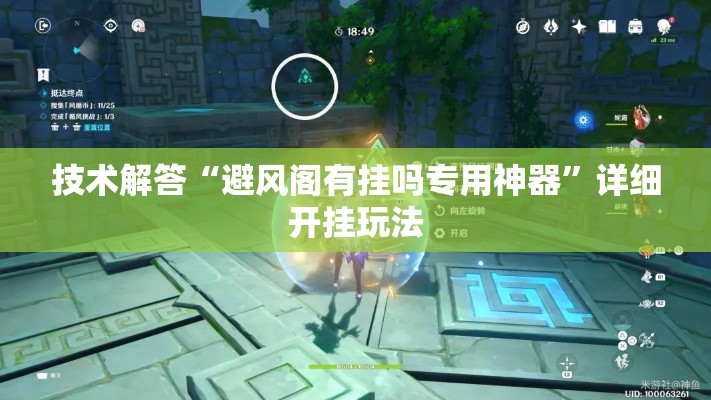 技术解答“避风阁有挂吗专用神器”详细开挂玩法