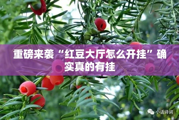 重磅来袭“红豆大厅怎么开挂	”确实真的有挂