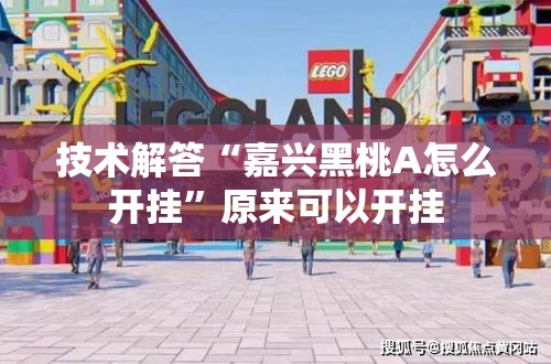 技术解答“嘉兴黑桃A怎么开挂”原来可以开挂