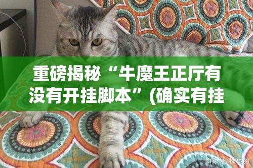 重磅揭秘“牛魔王正厅有没有开挂脚本”(确实有挂)