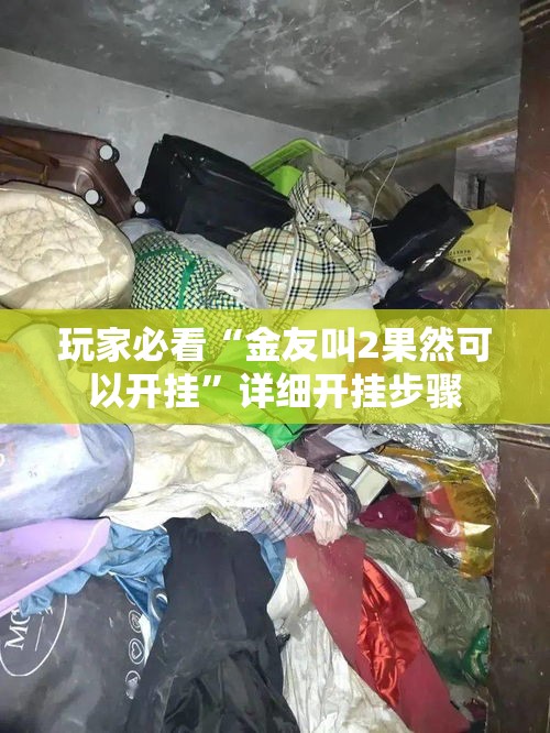 玩家必看“金友叫2果然可以开挂”详细开挂步骤
