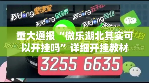 重大通报“微乐湖北其实可以开挂吗	”详细开挂教材
