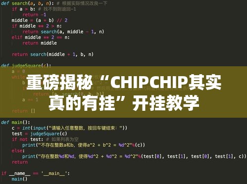 重磅揭秘“CHIPCHIP其实真的有挂	”开挂教学