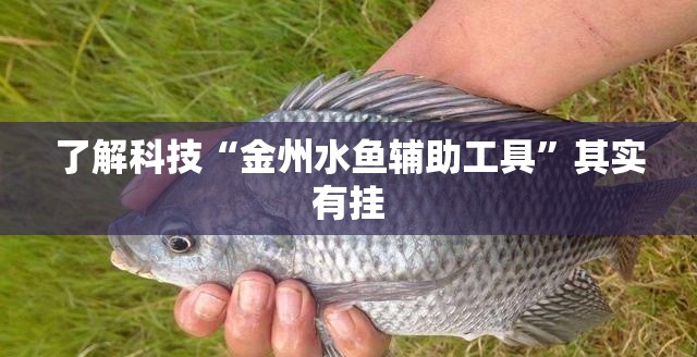 了解科技“金州水鱼辅助工具	”其实有挂
