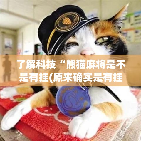 了解科技“熊猫麻将是不是有挂(原来确实是有挂) 了解科技“熊猫麻将是不是有挂(原来确实是有挂)