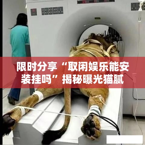 限时分享“取闲娱乐能安装挂吗”揭秘曝光猫腻