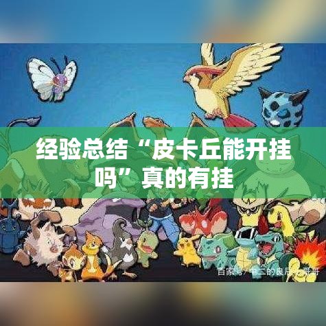 经验总结“皮卡丘能开挂吗	”真的有挂