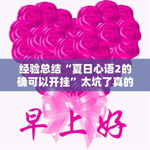 经验总结“夏日心语2的确可以开挂”太坑了真的有挂