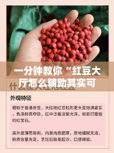 一分钟教你“红豆大厅怎么辅助其实可以装挂 一分钟教你“红豆大厅怎么辅助其实可以装挂
