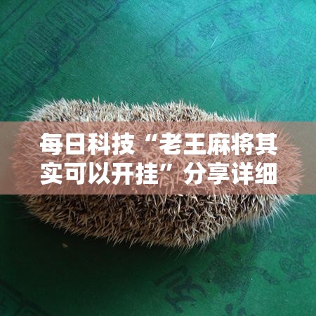 每日科技“老王麻将其实可以开挂	”分享详细开挂教程