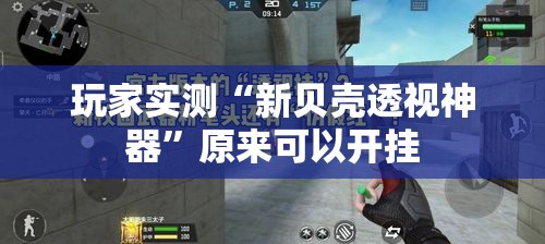 玩家实测“新贝壳透视神器”原来可以开挂