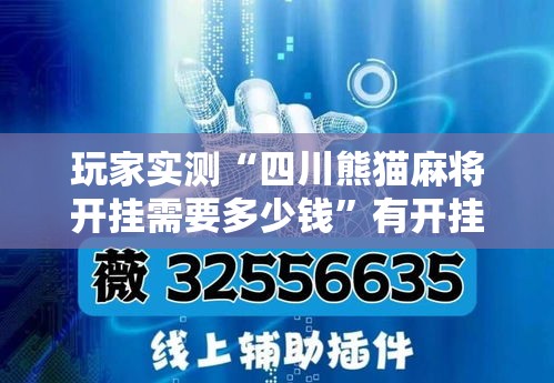 玩家实测“四川熊猫麻将开挂需要多少钱”有开挂教程