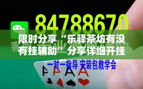 限时分享“乐驿茶坊有没有挂辅助”分享详细开挂教程