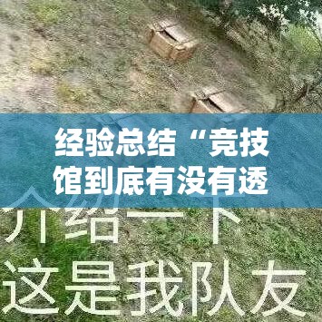 经验总结“竞技馆到底有没有透视”可以开挂教程