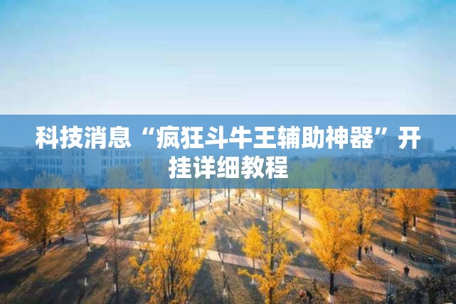 科技消息“疯狂斗牛王辅助神器”开挂详细教程