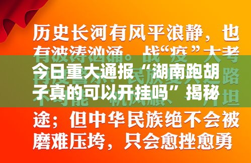 今日重大通报“湖南跑胡子真的可以开挂吗”揭秘曝光猫腻