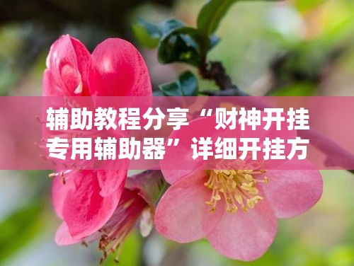 辅助教程分享“财神开挂专用辅助器”详细开挂方法