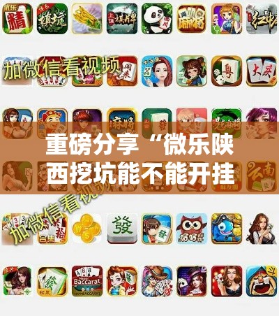 重磅分享“微乐陕西挖坑能不能开挂”用挂教程