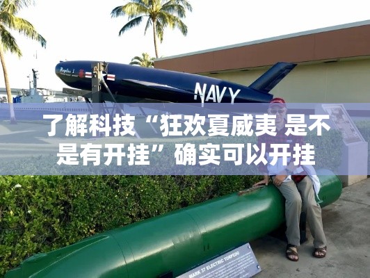 了解科技“狂欢夏威夷 是不是有开挂”确实可以开挂